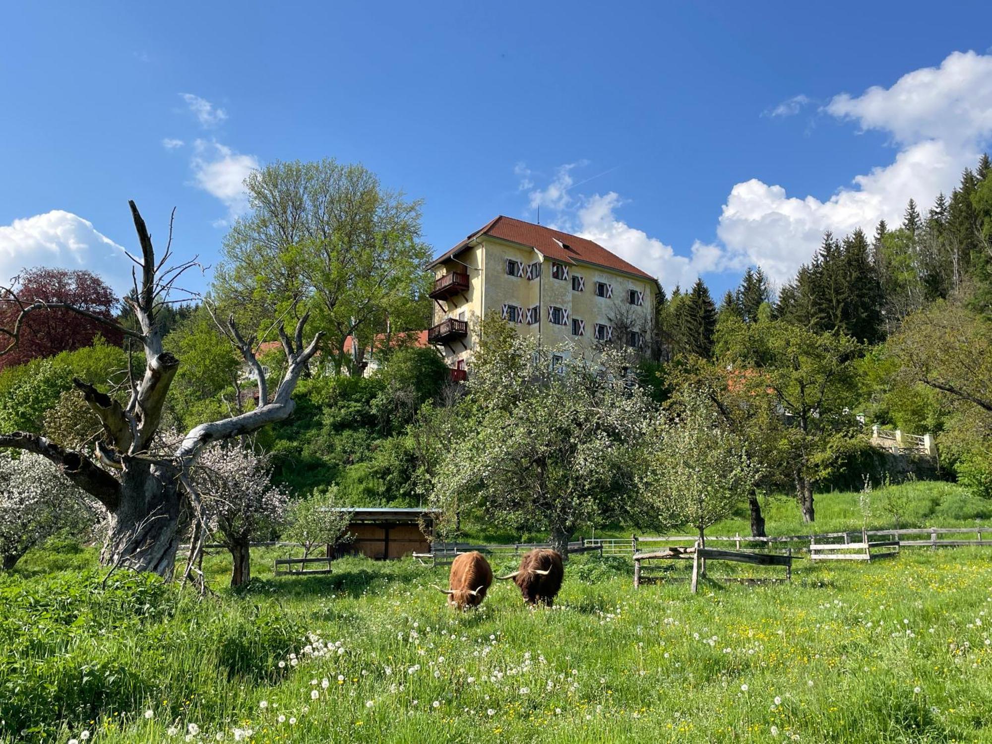 Hotel Landsitz Pichlschloss Neumarkt in Steiermark Eksteriør bilde
